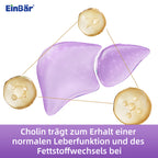 EinBär Mariendistel Komplex – Detailansicht 5