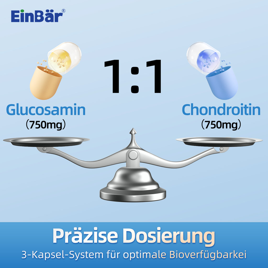 EinBär Glucosamin & Chondroitin – Detailansicht 3