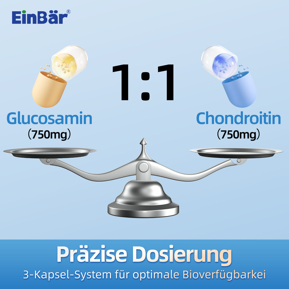 EinBär Glucosamin & Chondroitin – Detailansicht 3